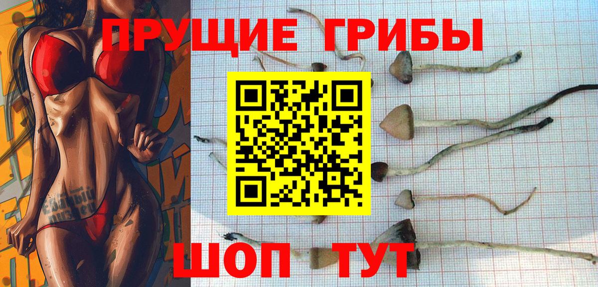 Псилоцибиновые грибы мицелий Москва