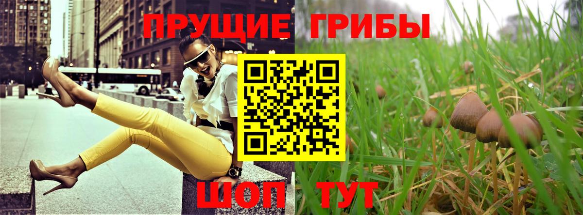 Москва  Псилоцибиновые грибы Cubensis  Вход с VPN 